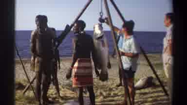 Nigeria (1969): FishermanâS Feast Their Catch