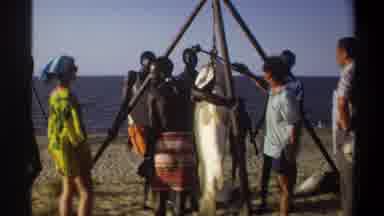 Nigeria (1969): Large Fish Sea Shore Celebration Cooking Triangular Pole People