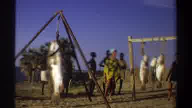 Nigeria (1969): Fishermen At The Beach With The Catch Of The Day