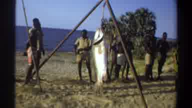 Nigeria (1969): Primitive Fishing Ocean Large Fish Sandy Beach Natives Of African