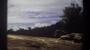 Nigeria (1969): The Lion Is The One Of The Most Dangerous Wild Animals Waiting For