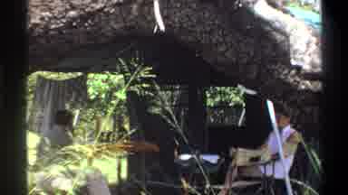 Lagos Nigeria (1969): Watching Animals In The Wild