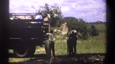 Lagos Nigeria (1969): People Unloading Metal Pallets From Truck On Bright Sunny