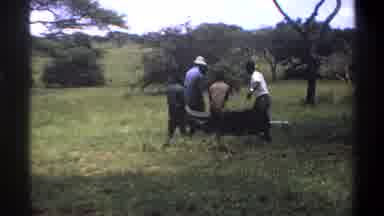 Lagos Nigeria (1969): Group Of Hunters With Their Hunt
