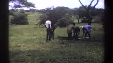 Lagos Nigeria (1969): Several Men Pulling Some Type Of Gear From A Bag