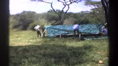 Lagos Nigeria (1969): Group Of African Males Work Together To Make A Shelter Out