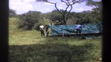 Lagos Nigeria (1969): Five Men Trying To Set Up A Green Tarp In A Field By Some