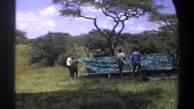 Lagos Nigeria (1969): A Group Of Men Set Up A Large Tent On A Grass Field Next To