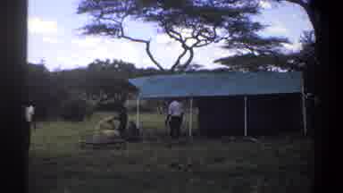 Lagos Nigeria (1969): People In A Forest Moving A Tent