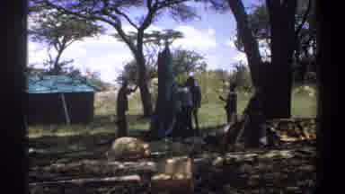 Lagos Nigeria (1969): 4-5 Men Setting Up A Tent Or Awning With Poles