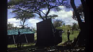 Lagos Nigeria (1969): Pitching The Tent Under The Tree