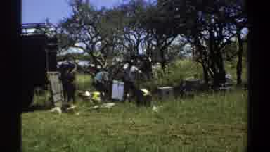 Lagos Nigeria (1969): Black People Unloading An Old Truck In The Middle Of The