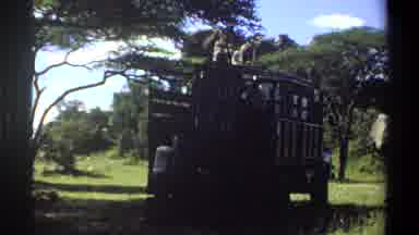 Lagos Nigeria (1969): Large Truck Parked Underneath Tree On A Bright Sunny Day