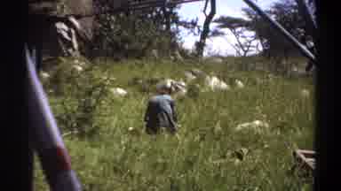 Lagos Nigeria (1969): Men Unloading A Heavy Load With A Big Chest That The Man Is