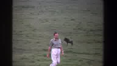 Pretoria South Africa (1969): Old Footage Of An Older Gentleman Walking In A Field