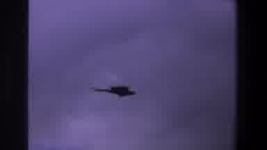 Pretoria South Africa (1969): Bird Just Soaring Through The Air Looking For Its