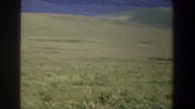 Pretoria South Africa (1969): Open Green Grassy Meadow Near Dark Hills With No