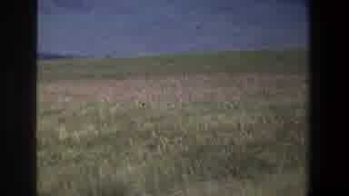 Pretoria South Africa (1969): Animals Nature Mountain Union Moment
