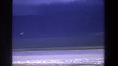 Pretoria South Africa (1969): A Flock Of Birds Flying Away From The Test Of The