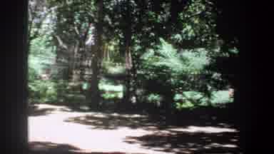 Pretoria South Africa (1969): Out In The Woods Is A Blue Tent Sitting In The