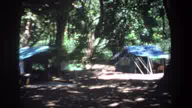 Pretoria South Africa (1969): Outdoor Camping Woods Summer Hot Heat Groups Trees