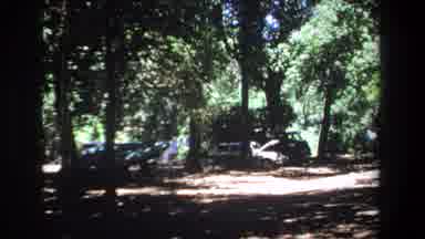 PRETORIA SOUTH AFRICA-1969: Old Cars Parked Among Shade Trees In A Lot