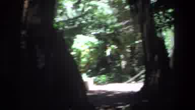Pretoria South Africa (1969): Old Footage Of People Outside In Nature Gathered