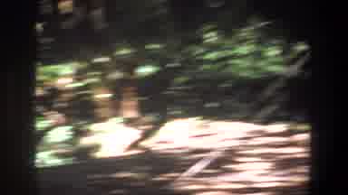 Pretoria South Africa (1969): Camp In Rain Forest Run Down With Tables Humid And