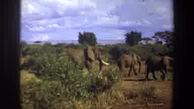 Pretoria South Africa (1969): We're Finding Some Food
