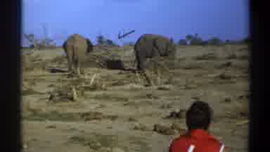 Cape Town South Africa (1969): Old Style Shaky Film Clip Of A Lady Observing Two