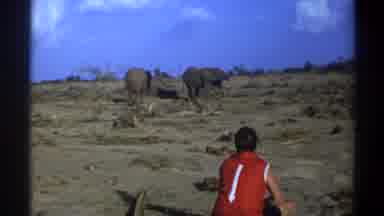 Cape Town South Africa (1969): A Man Is Sitting And Watching The Elephant In The