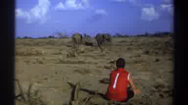 Cape Town South Africa (1969): Man Watches A Group Of Elephants From A Small
