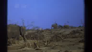 Cape Town South Africa (1969): A Small Herd Of Elephants Walking Through Grassland
