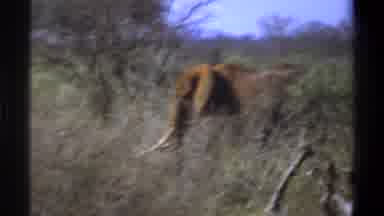Cape Town South Africa (1969): The Best Trail In The Adventure Tour Today Full Of