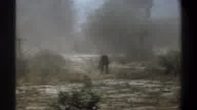 Cape Town South Africa (1969): A Wild Animal Running From Danger Toward The Woods