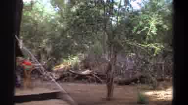 Khartoum Sudan (1969): A Camp Hut And A Group Of Trees In The Forest