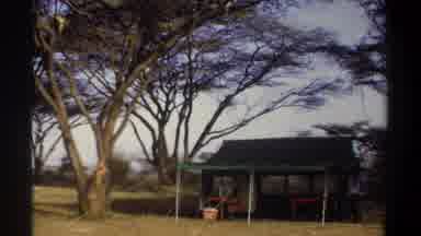 Khartoum Sudan (1969): Old Style Film Pan Clip Of Camp Setup Surrounded By Trees