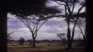 Khartoum Sudan (1969): View People Parked At Outdoor Shed On A Sunny Afternoon