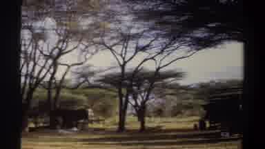 Khartoum Sudan (1969): Landscape Tree Nature Movement Vehicle