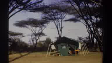Khartoum Sudan (1969): A Camp Ground With A Lot Of Trees