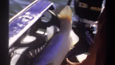 Khartoum Sudan (1969): Life Beneath The Water Brought To Land