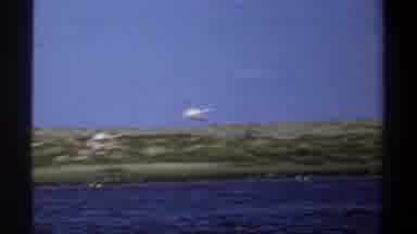 Khartoum Sudan (1969): A Flock Of White Birds Flying Over A Body Of Water