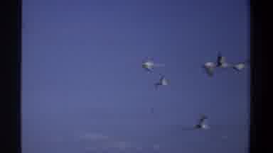 Khartoum Sudan (1969): Several Birds Flying In Formation Under A Blue Sky And Over