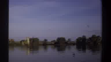 Khartoum Sudan (1969): Crystal Clear Water Lake With Some Logs And Some Birds