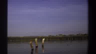 Khartoum Sudan (1969): Banana Trees Near River On A Sunny Day