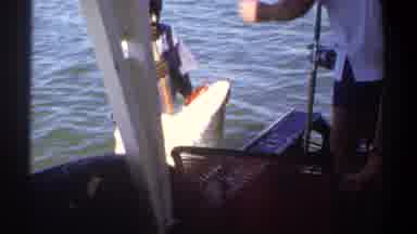Khartoum Sudan (1969): Shark Fishing