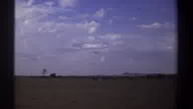 Khartoum Sudan (1969): A Bird Flies Above A Field