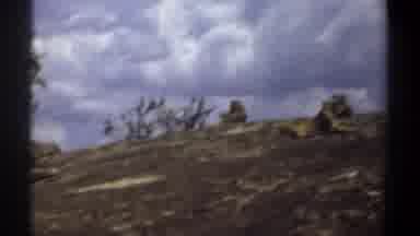 Khartoum Sudan (1969): Pride Of Lions Rests On The Side Of A Hill Side Some In The