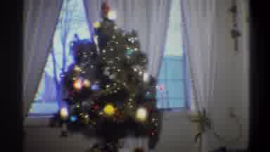 Troy New York USA (1973): Lightening Of The Pine Tree