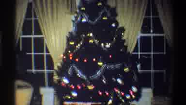 Troy New York USA (1973): Decorated Christmas Tree For The Holidays